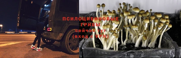 мефедрон мука Краснотурьинск