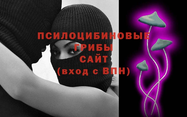 спиды Краснослободск