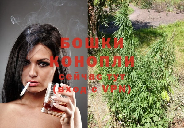 сатива Пенза
