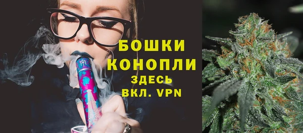 спиды Краснослободск