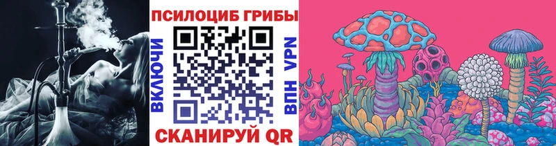 купить  сайты  Альметьевск  Псилоцибиновые грибы Cubensis 