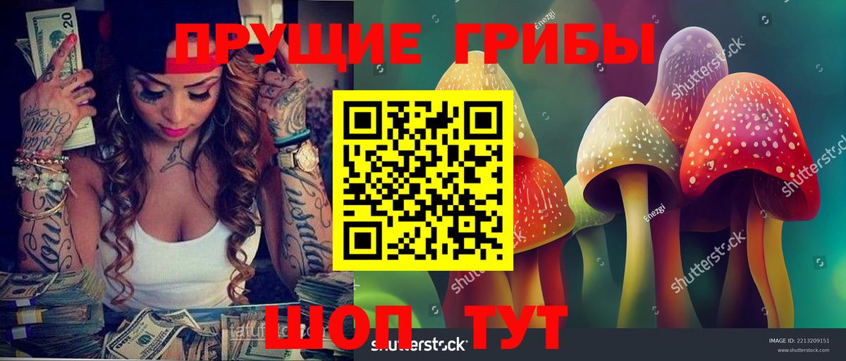 Псилоцибиновые грибы Psilocybe Альметьевск